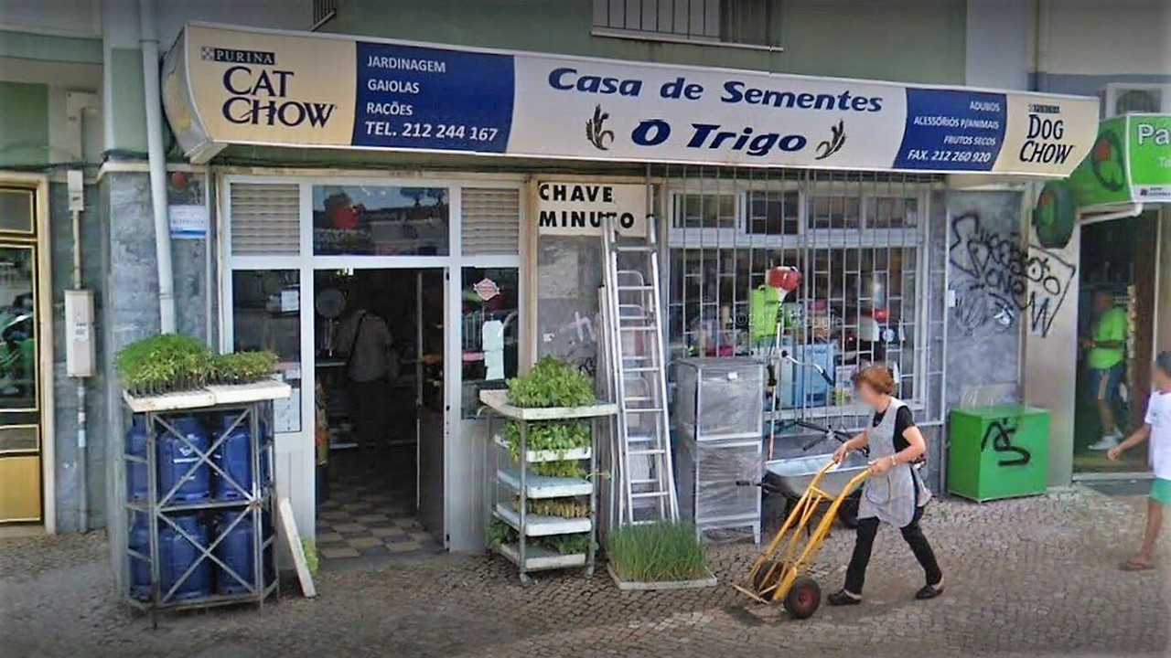 Casa de Sementes - O Trigo