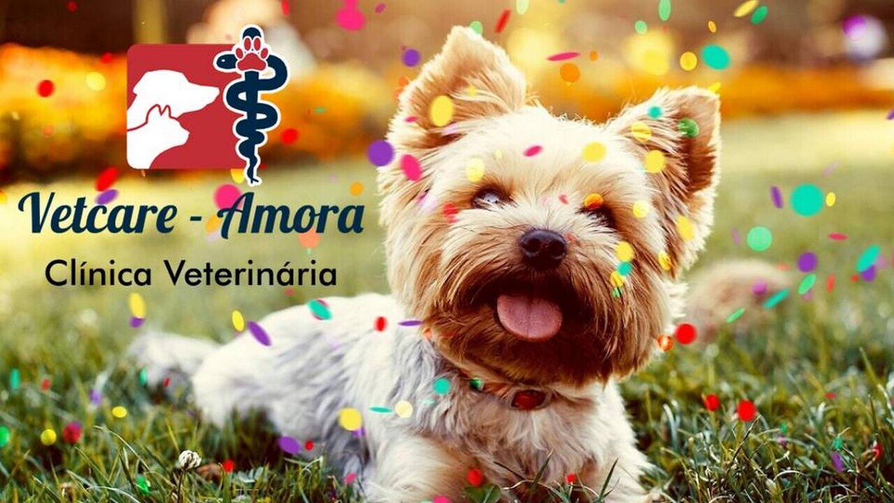 Clínica Veterinária Vetcare - Amora